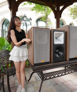 loa isophon ip-9950 pro (4)